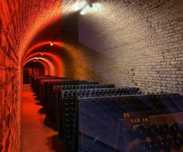 Bouteilles de champagne sur sur claies dans une cave voutée de vieillissement, illustre le savoir faire Les Vieilles Prunes agence marketing en champagne