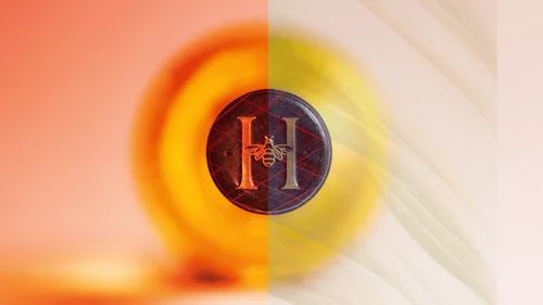 Logo H Abeille réalisé par Les Veilles Prunes Agence Design Vins